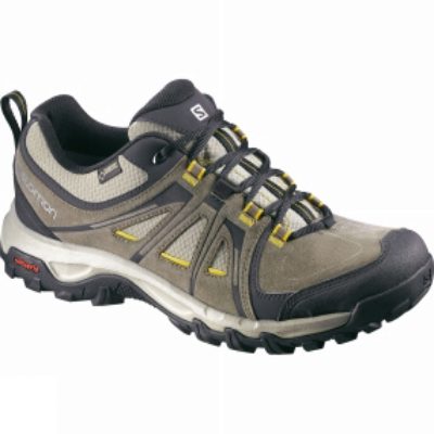 Salomon Men's Evasion GTX Shoe Swamp / Dark Titanium
